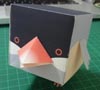 箱文鳥