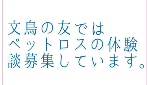 ペットロスの体験談募集中！